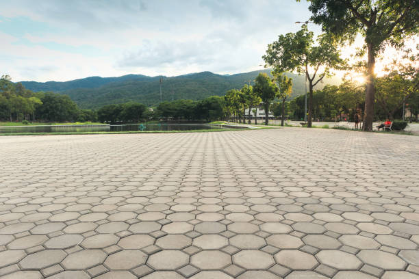 Best Driveway Paving Near Me  in Sanford, NC